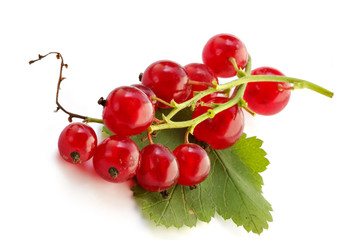 red currant on the table