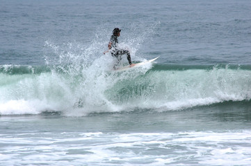 Naklejka premium 1030