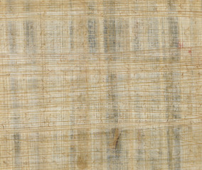 bambus canvas texture