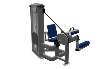 seated leg curl 1