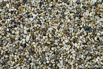 shingle
