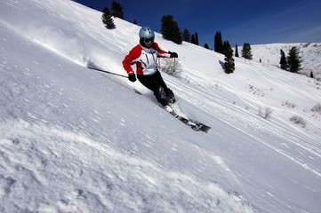 female skier