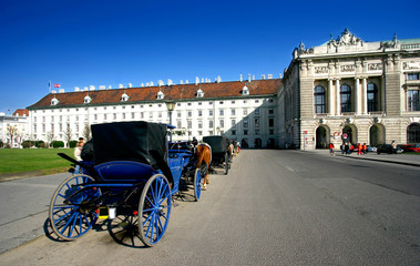 horse drawn carriages in hofburg,vienna. - obrazy, fototapety, plakaty