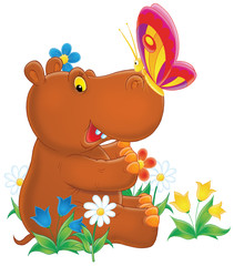 hippopotamus and butterfly