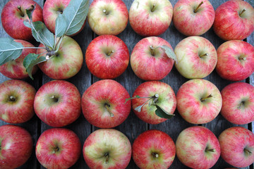 pattern of red apples