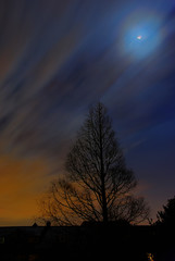 Fototapeta na wymiar night landscape during eclipse of the moon