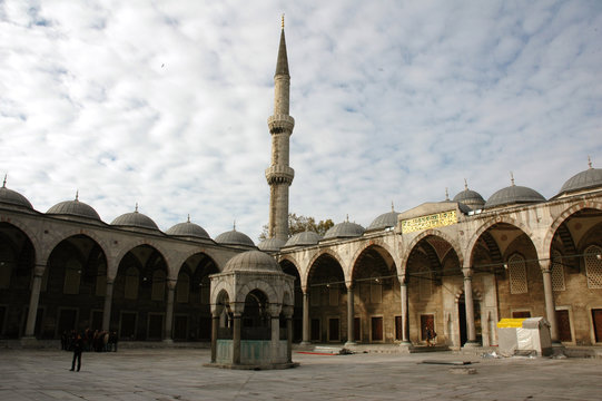 Imágenes de 1535 descubre bancos de fotos, ilustraciones, vectores y