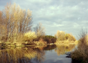 reflets d'or sur les bords de la rivière