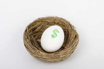 nest egg dollars