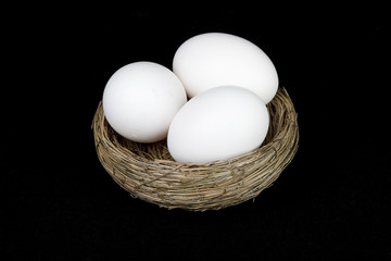 nest of eggs