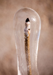 transparency