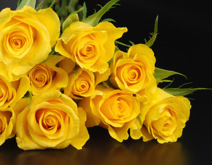 yellow roses