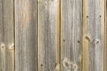 wooden fence panels background.