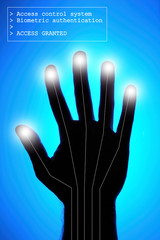 biometrics - hand identification