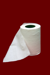toilet tissue