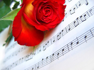 rose