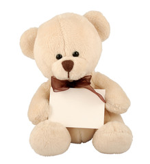 teddy with sign