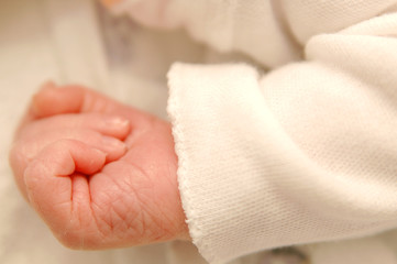newborn baby hand