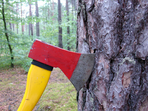 axt im wald