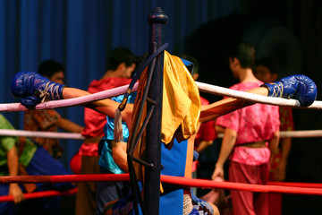 boxe thailandaise