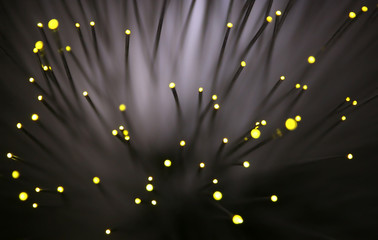 martian flowers