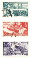 old postage stamps from poland