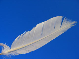 ''feather 2''