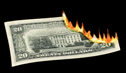 money to burn!