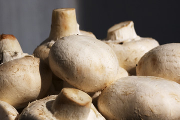 champignons