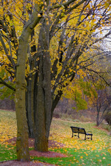 Naklejka premium single bench in a park