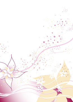 background - flower - beauty