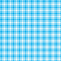 white and blue plaid