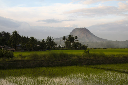 luzon landscape