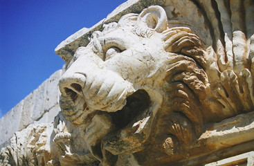 baalbek  (detail) -  lion head