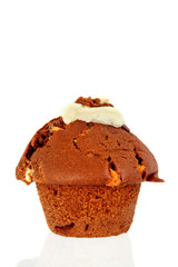 chocolate muffin
