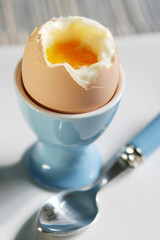 soft-boiled egg