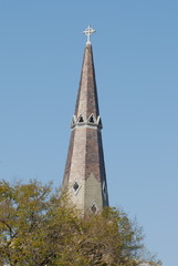 steeple and trees