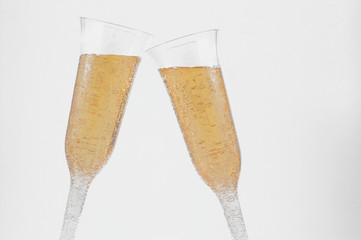 champaign