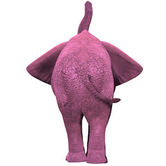 pink elephant - 01