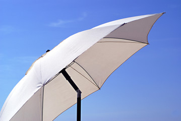 parasol