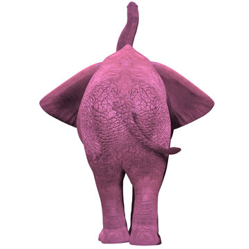 Pink Elephant - 01