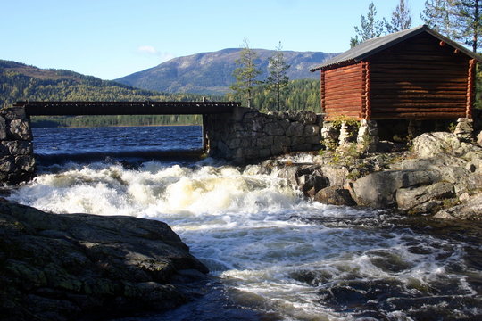 authumn stream