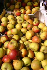english cox's apples in a shop stall