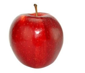 pomme 1