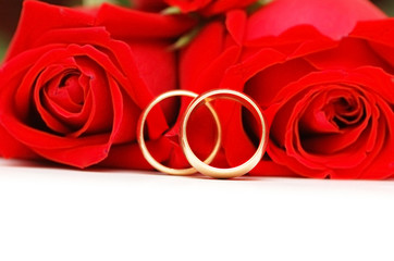 two wedding rings and red roses isolated on white