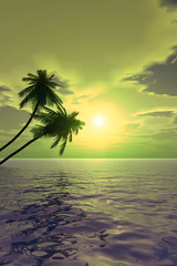 Obraz na płótnie Canvas palm_sunset2_v