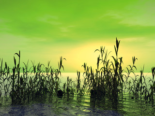 Obraz premium sunset_trost2_a