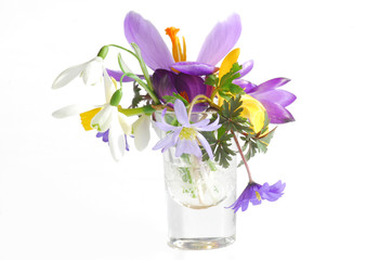 flowers