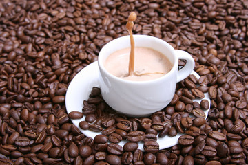 cappu & bohne & blub