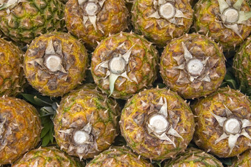 pineapples background